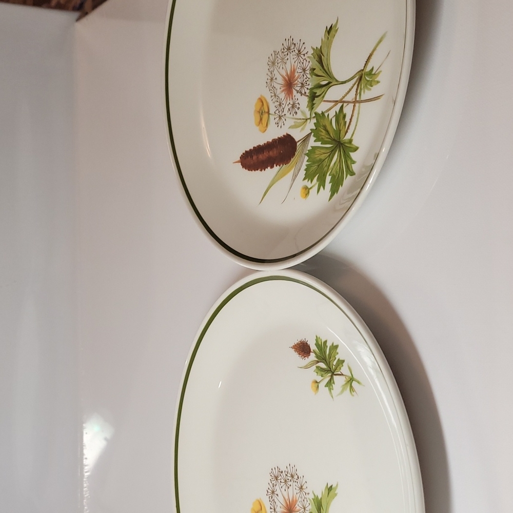 Johnson brothers  Brookside  ironstone plate
